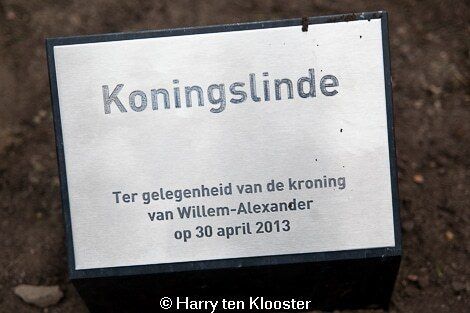 30-04-2013_plaatsen_koningslinde_spinhuisplein-de_spiegel_03.jpg