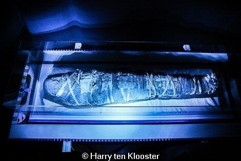 08-08-2014_zwolse_mummie_in_het_stedelijk_museum_01.jpg