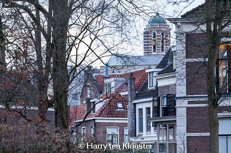 02-02-2013_weerfoto__ter_pelkwijkstraat_.jpg