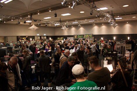 10-02-2013_terraria_ijsselhallen02.jpg