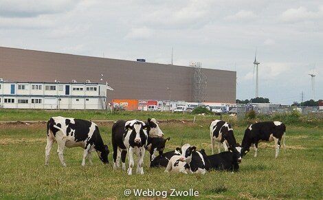 wehkamp.nl-1.jpg