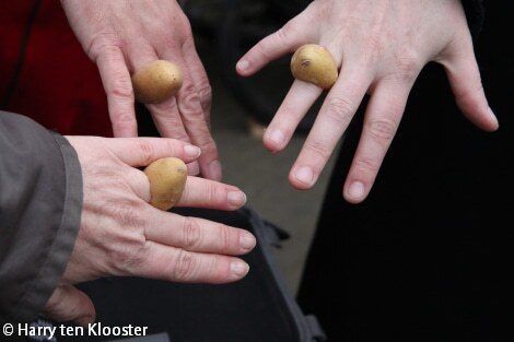 29-03-2012_aardappelringetjes_02_.jpg