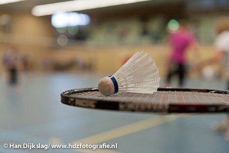 badminton_toernooi_2013_2.jpg