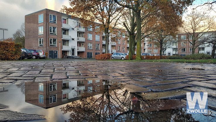 Pieter Steynstraat - Foto: Wouter Steenbergen