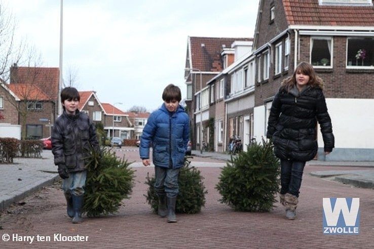 Oude kerstbomen leveren geld op in Zwolle