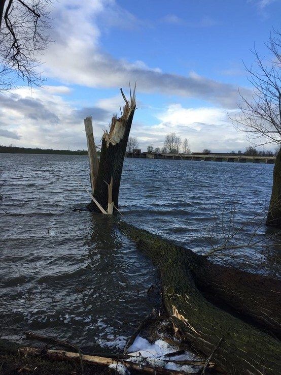 Storm beschadigt ook dijken langs de IJssel - Foto: Ingezonden foto