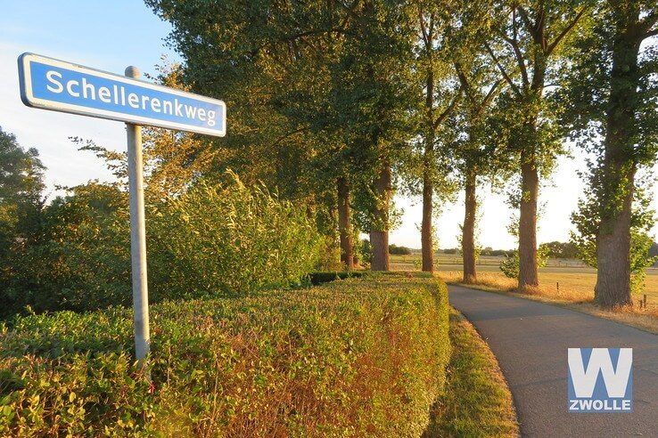 Oude populieren aan Schellerenkweg met spoed gekapt vanwege onveilige situatie door extreme hitte - Foto: Jan la Faille