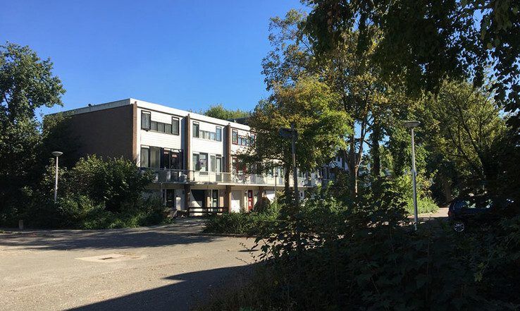 Bernisse/Alm eerste Klimaatstraat in Zwolle
