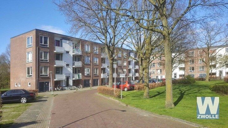 Pieter Steijnstraat - Foto: Wouter Steenbergen