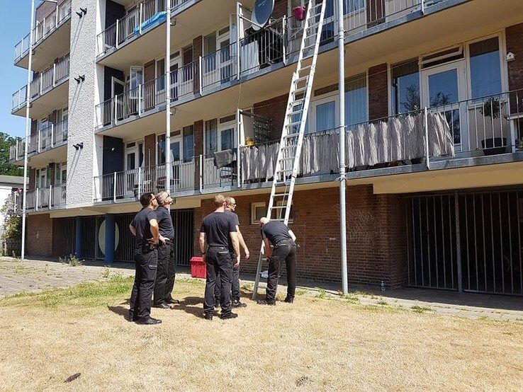 Konijn van balkon gevallen, dierenambulance Zwolle komt in actie - Foto: Dierenambulance Zwolle