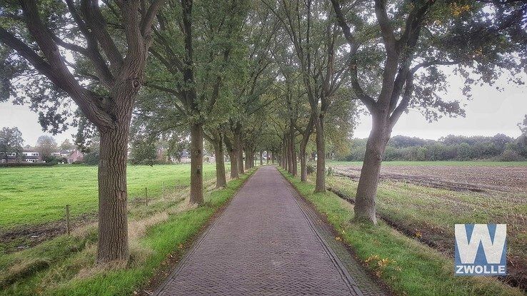 Brinkhoekweg - Foto: Wouter Steenbergen