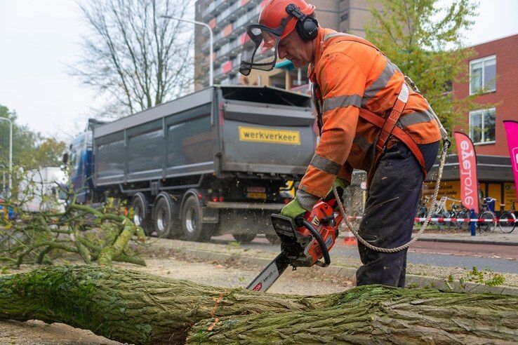 Noodkap van onveilige boom aan Hogenkampsweg - Foto: Peter Denekamp