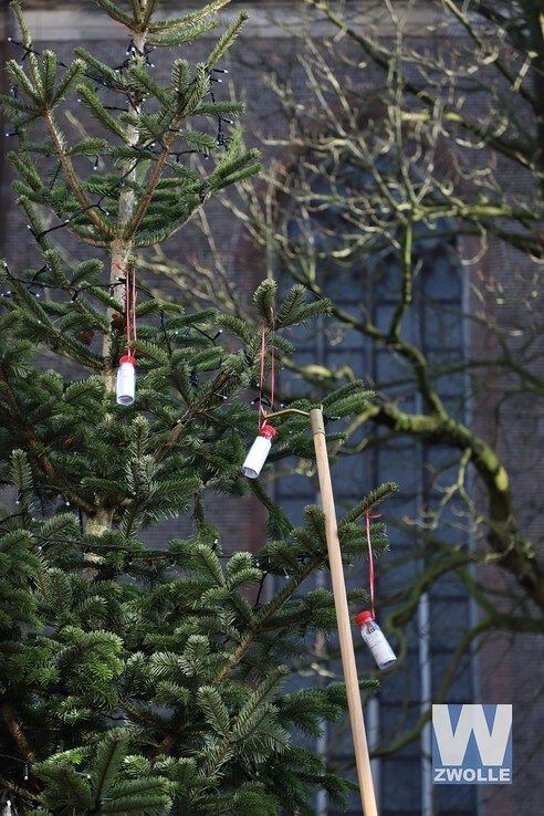 Zwollenaren hangen wensen in de Wensboom - Foto: Jan van der Meulen