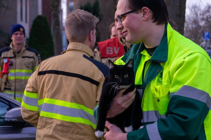 Zwolse brandweer bevrijdt Kampense kat in het nauw - Foto: Peter Denekamp