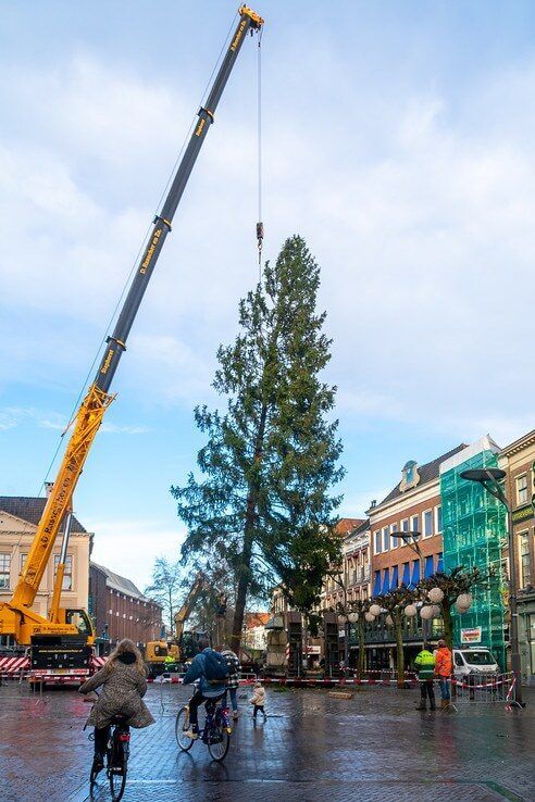 Kerstboom geplaatst op Grote Markt - Foto: Peter Denekamp
