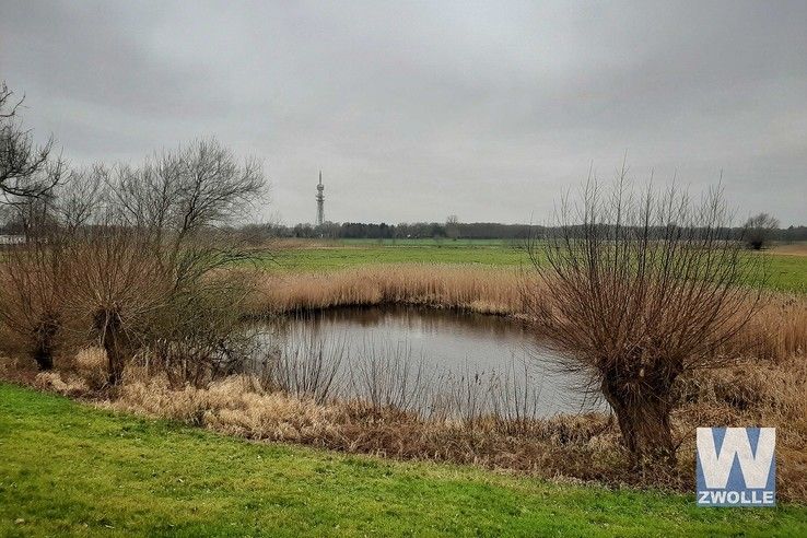 Vechtdijk - Foto: Wouter Steenbergen