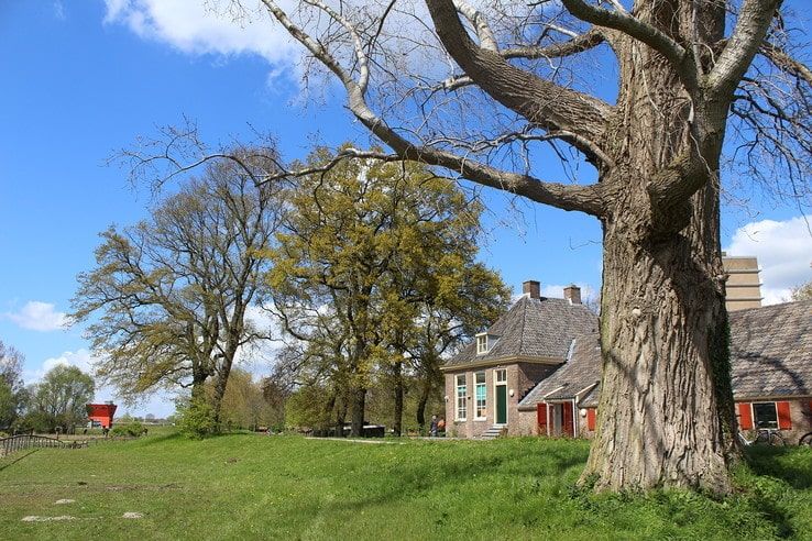 Onderzoek aan bomen voor dijkversterking Stadsdijken Zwolle - Foto: Ingezonden foto