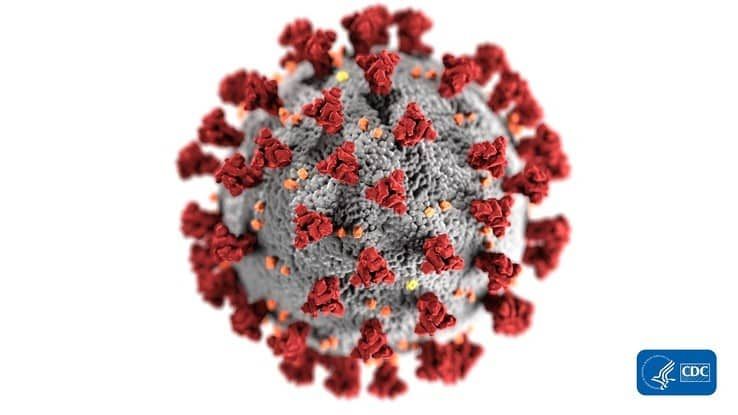Nieuwe maatregelen coronavirus van kracht - Foto: Alissa Eckert, MS; Dan Higgins, MAM
