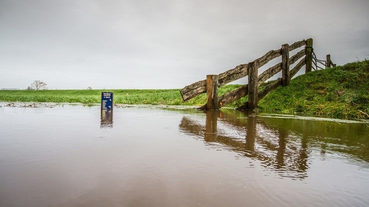 Uiterwaarden langs IJssel nog twee weken onder water - Foto: Ingezonden foto