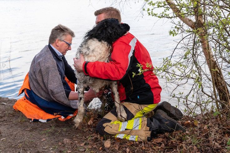 Brandweer redt hond uit Wijthmenerplas - Foto: Peter Denekamp