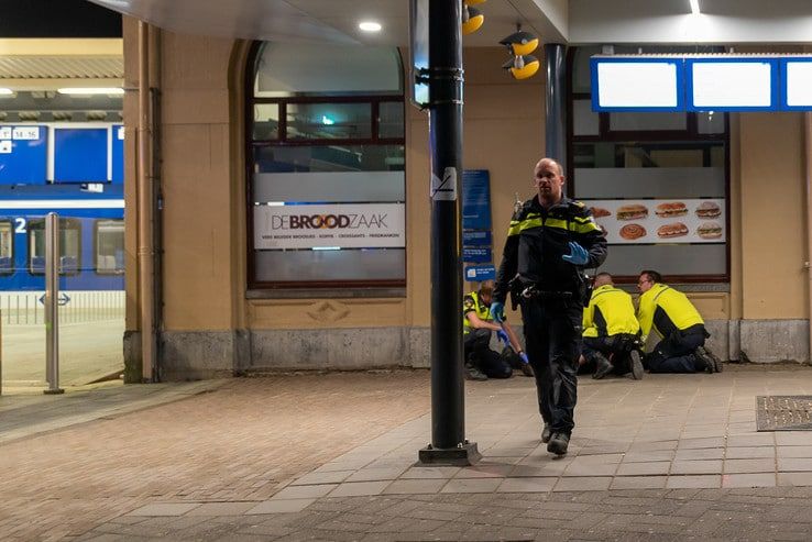 Agressieve man aangehouden bij station Zwolle - Foto: Peter Denekamp