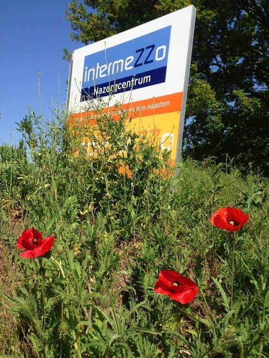 Nazorgcentrum IntermeZZo start voorzichtig weer op. Bij de entree bloeien de klaprozen, nog altijd symbool van het opstarten van de maatschappij na de eerste wereldoorlog
