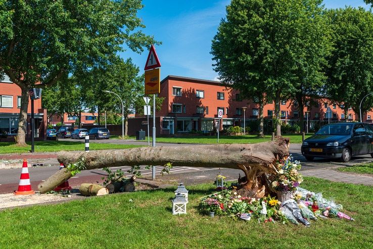 Stadshagen in diepe rouw om overleden fietsster - Foto: Peter Denekamp