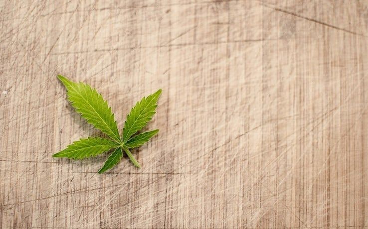 Cannabis - Foto: Pixabay