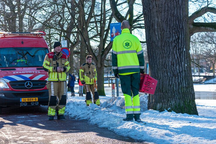 Aalscholver neemt Zwolse brandweer en dierenambulance in de maling - Foto: Peter Denekamp