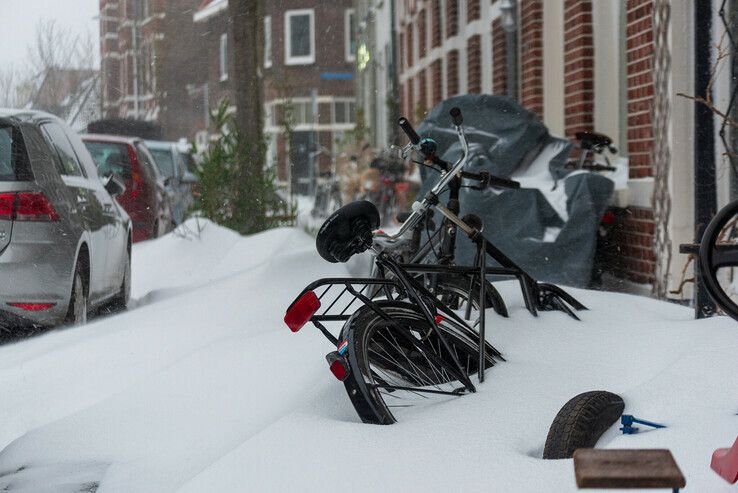 Tien dagen ijskoud winterweer in Zwolle - Foto: Peter Denekamp