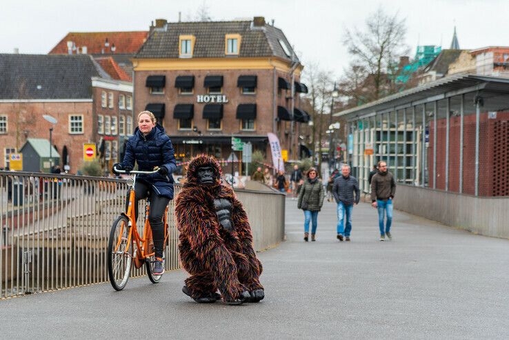 Gorilla zorgt voor verzetje in Zwolse binnenstad - Foto: Peter Denekamp
