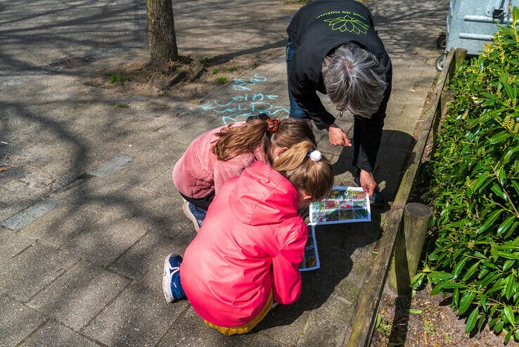 Kinderen in Zwolle-Zuid speuren naar stoepplantjes op Nationale Buitenlesdag - Foto: Peter Denekamp
