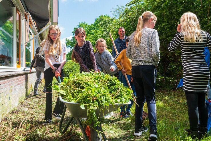 Basisschool in Stadshagen krijgt groen schoolplein - Foto: Peter Denekamp