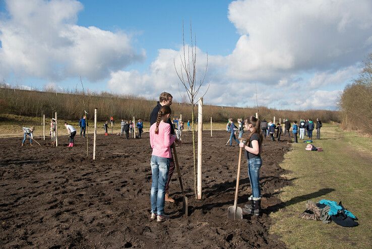 Een leerling plant een boom op een vorige Nationale Boomfeestdag - Foto: Natuur en Milieu Overijssel