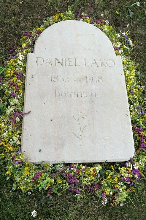 Na ruim honderd jaar gedenksteen op het graf van Daniël Lako. - Foto: Jan la Faille
