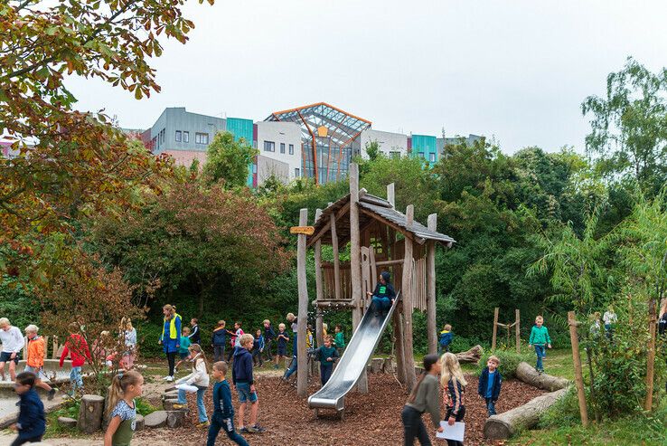 Saai schoolplein in Wipstrik is groene oase geworden - Foto: Peter Denekamp