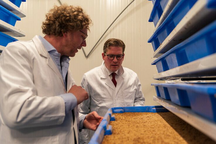 Over tien jaar eet heel Nederland eens per week Zwolse meelwormen - Foto: Peter Denekamp