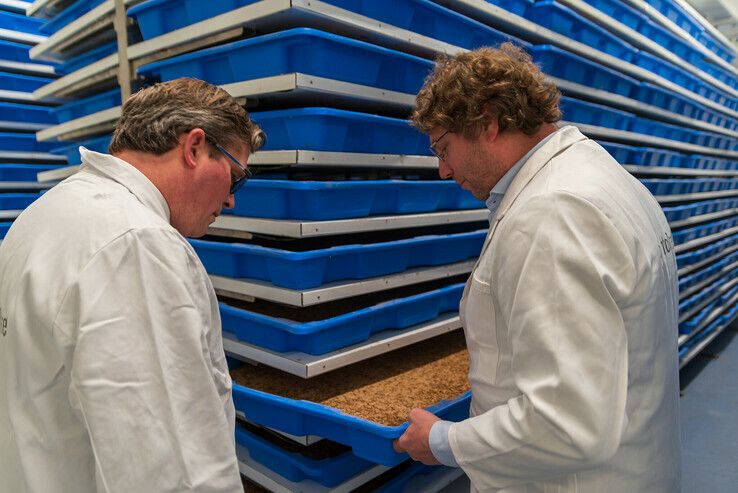 Over tien jaar eet heel Nederland eens per week Zwolse meelwormen - Foto: Peter Denekamp