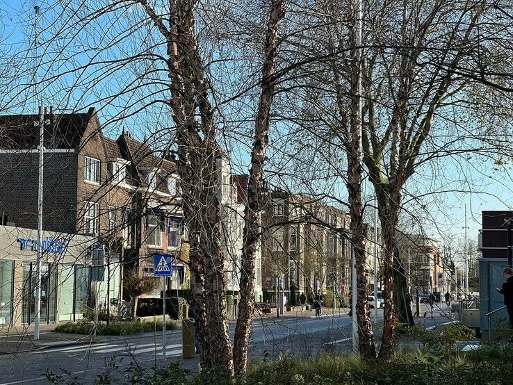 Grote bomen geplant op Stationsplein Zwolle - Foto: Gemeente Zwolle