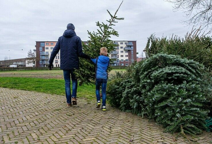 Kerstbomenactie levert 11.098 bomen op - Foto: Ingezonden foto