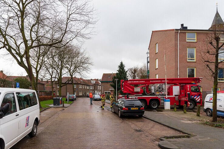 Brandweer zaagt gevaarlijke takken uit boom in Assendorp - Foto: Peter Denekamp