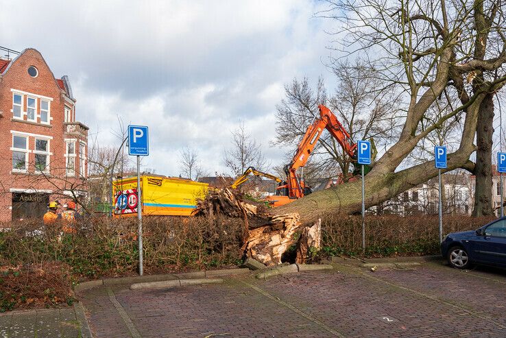 Storm Eunice heeft flink huis gehouden in Zwolle - Foto: Peter Denekamp