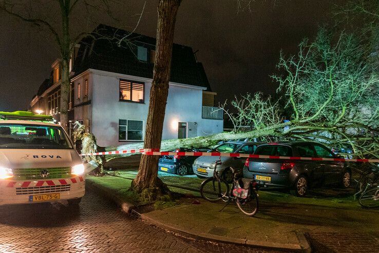 Boom verplettert auto in Assendorp - Foto: Peter Denekamp
