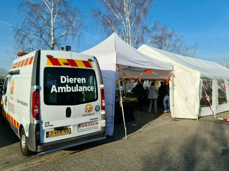Geslaagde vrijwilligersdagen Dierenasiel Zwolle tijdens NLdoet - Foto: Ingezonden foto