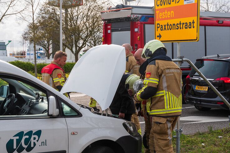 Steenmarter veroorzaakt autobrand(je) in Zwolle - Foto: Peter Denekamp