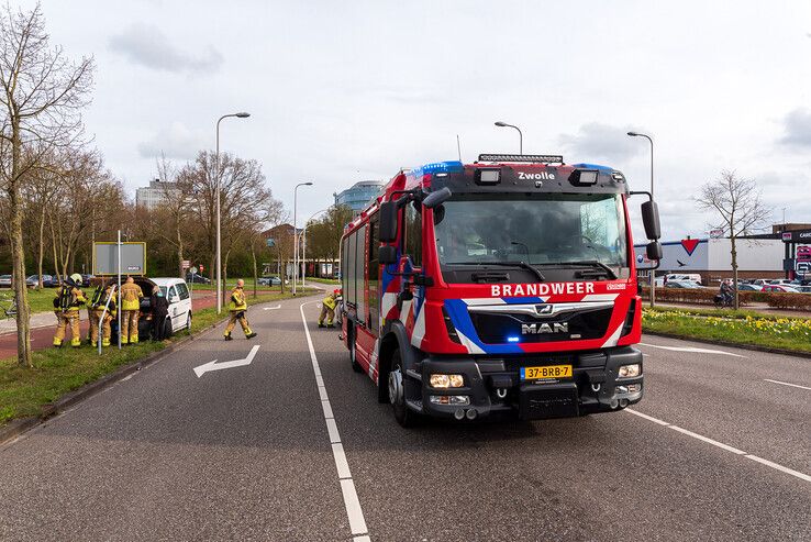 Steenmarter veroorzaakt autobrand(je) in Zwolle - Foto: Peter Denekamp