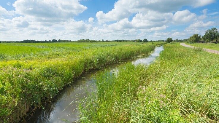 Waterschapsbelasting Drents Overijsselse Delta stijgt gemiddeld met 18 euro per gezin - Foto: Ingezonden foto