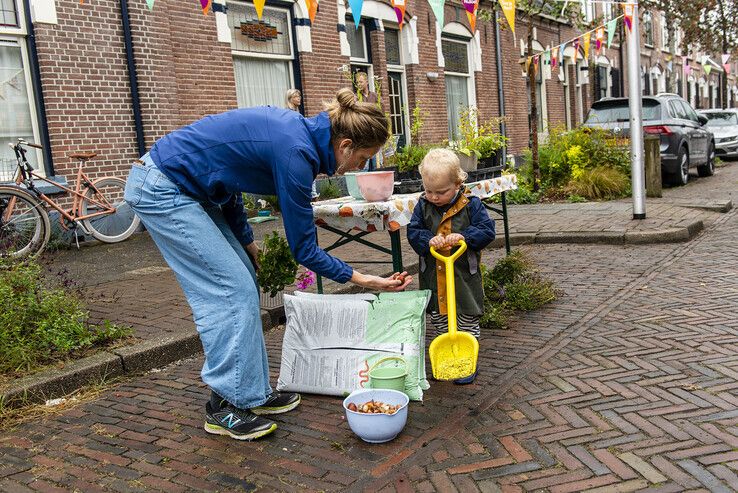 112 buurtinitiatieven uit Zwolle maken hun straat groen tijdens Burendag - Foto: Albert Bartelds