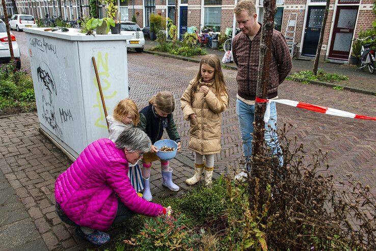 112 buurtinitiatieven uit Zwolle maken hun straat groen tijdens Burendag - Foto: Albert Bartelds