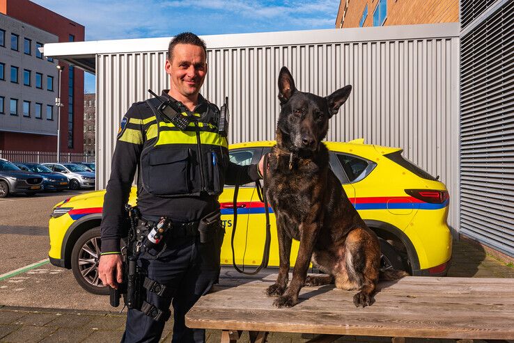 Snelkrakers op heterdaad aangehouden in Zwolle, politiehond Nero is de hero! - Foto: Peter Denekamp